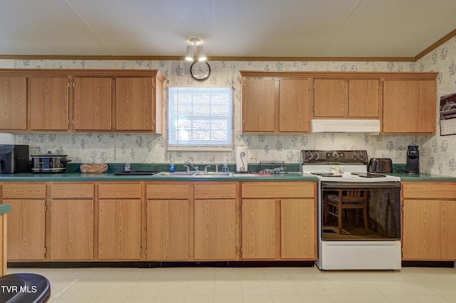 kitchen featuring white electric range and sink