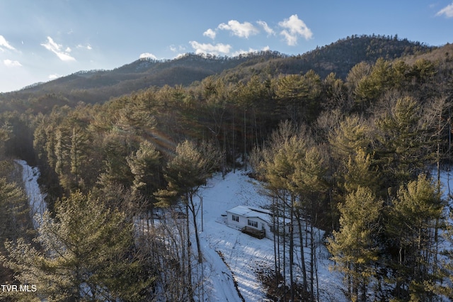 view of mountain feature featuring a water view