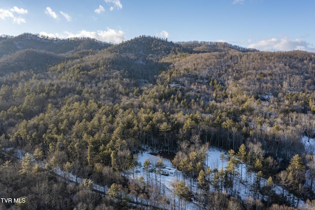 property view of mountains