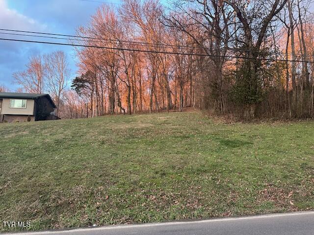 Listing photo 3 for LOT15 Telford Rd, Telford TN 37690