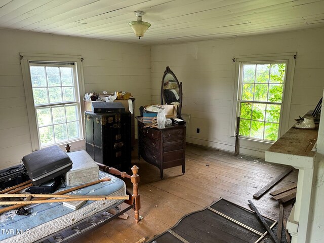 bedroom featuring wood-type flooring