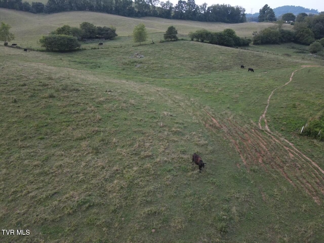 bird's eye view featuring a rural view