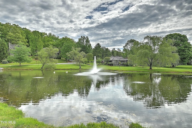 view of water feature