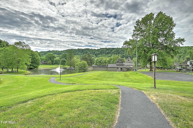 view of community with a yard