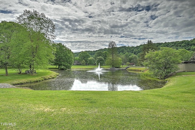 view of water feature