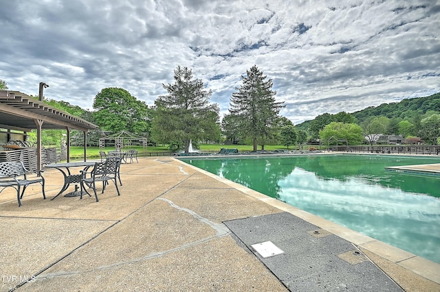 view of swimming pool