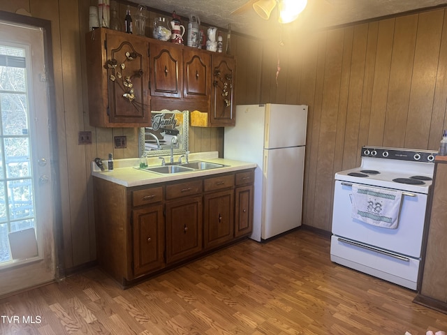 kitchen with hardwood / wood-style flooring, white appliances, sink, and wood walls