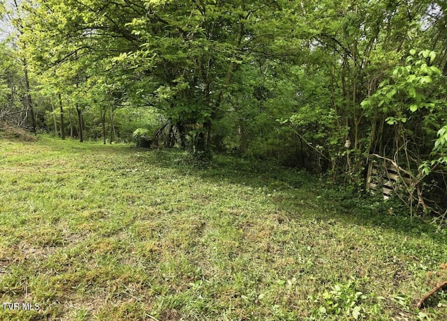 173 Deloach Rd, Elizabethton, TN 37643 - view of woods