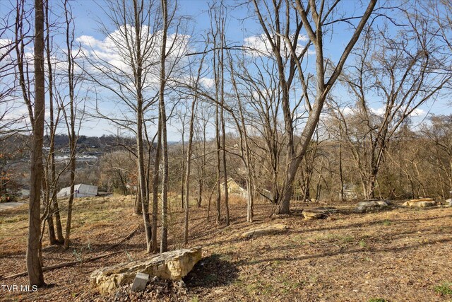 view of local wilderness