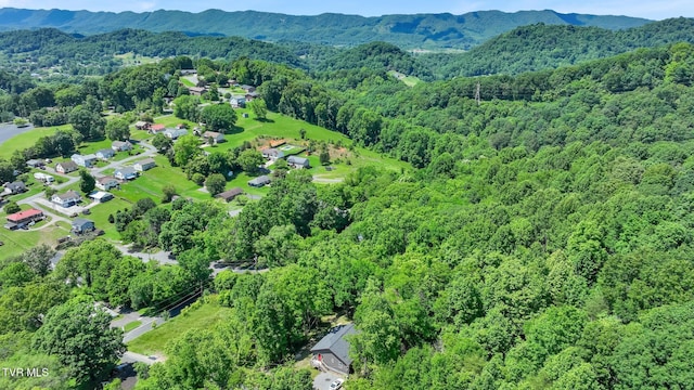 bird's eye view featuring a mountain view