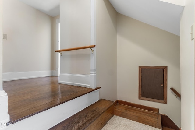 staircase featuring carpet