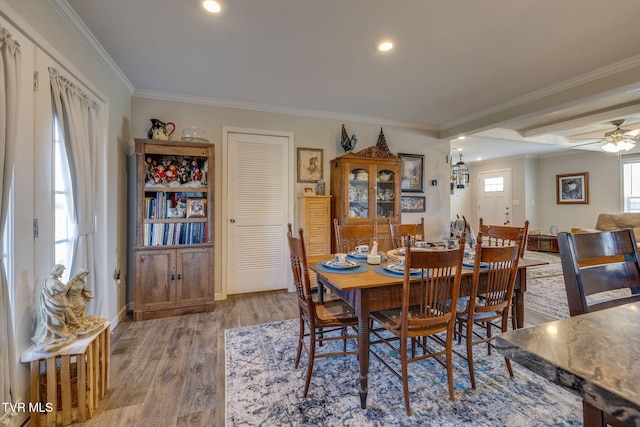 dining room featuring ceiling fan, crown molding, and wood-type flooring