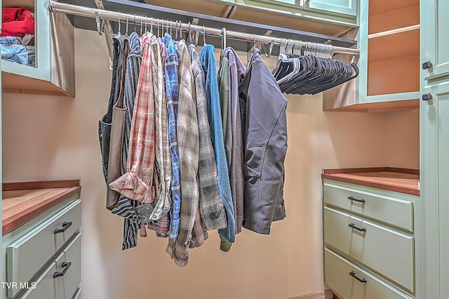 view of spacious closet