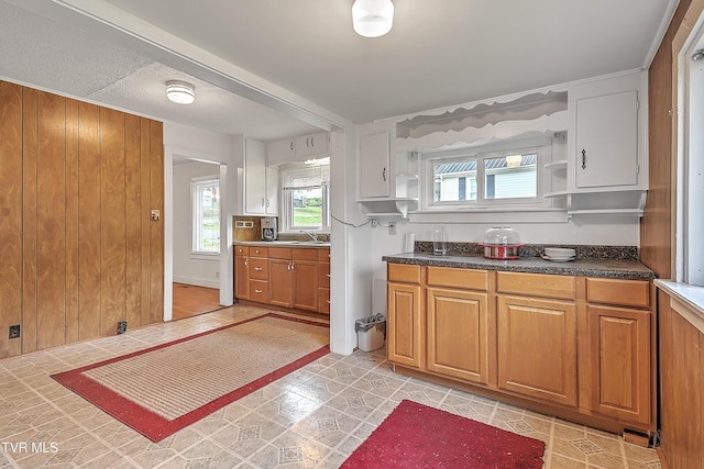 kitchen featuring sink and wood walls