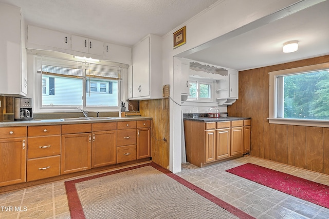 kitchen featuring sink and wood walls