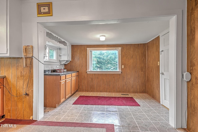 interior space with wood walls and sink