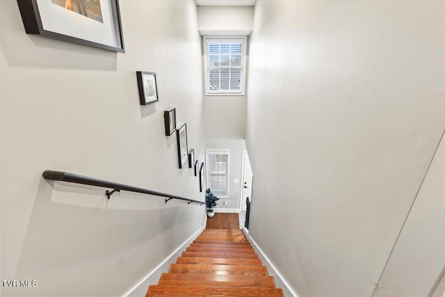 staircase featuring wood-type flooring