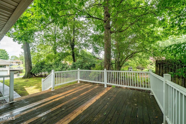 deck featuring a yard