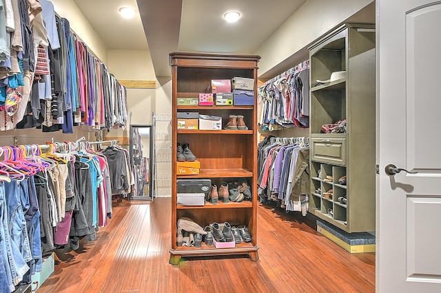 spacious closet with hardwood / wood-style floors