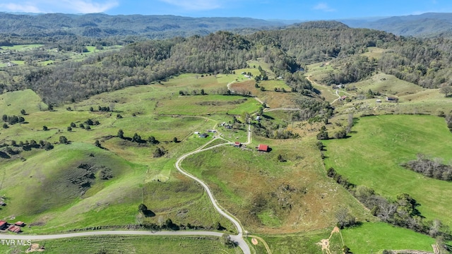 bird's eye view featuring a rural view and a mountain view