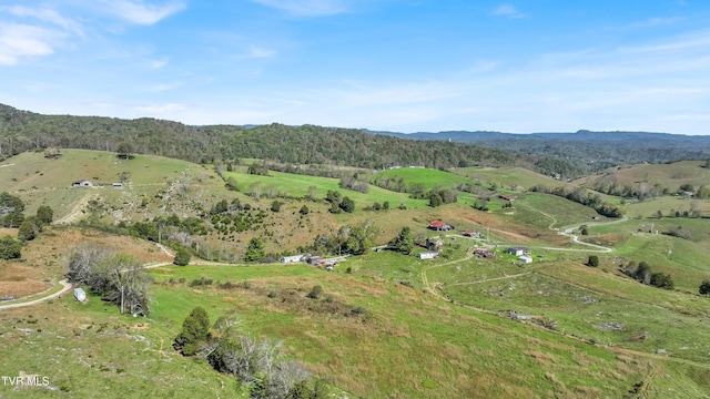 141 Pumplog Holw, Castlewood, VA 24224 - bird's eye view with a rural view