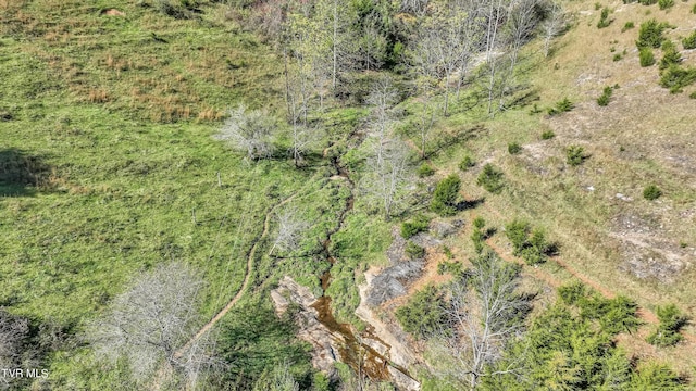 141 Pumplog Holw, Castlewood, VA 24224 - aerial view
