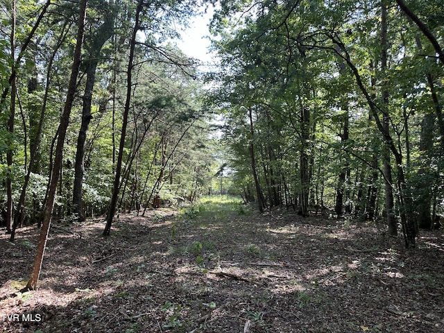 LOT1239 Rustic Dr, Baneberry TN, 37890 land for sale