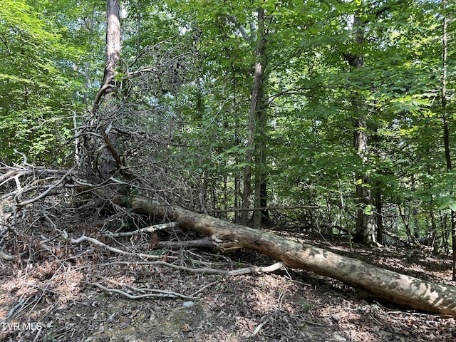 Listing photo 3 for LOT1239 Rustic Dr, Baneberry TN 37890