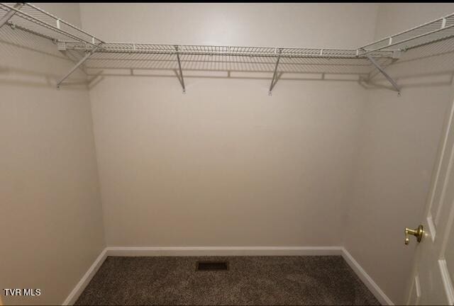 723 Teasel Dr Unit 00, Kingsport, TN 37660 - walk in closet with carpet floors