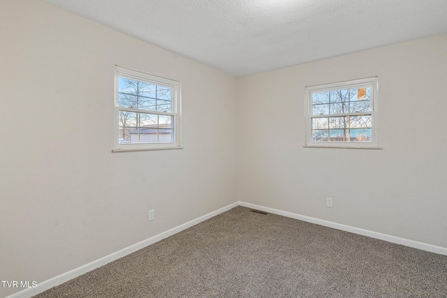 carpeted empty room with a textured ceiling and a wealth of natural light