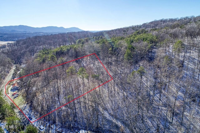 drone / aerial view featuring a mountain view