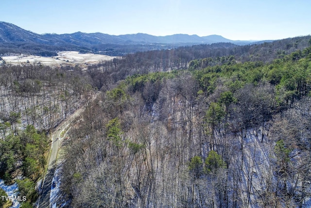 property view of mountains