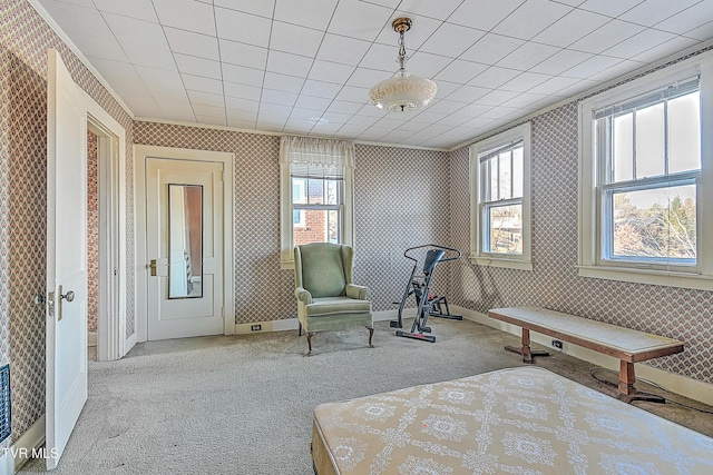 unfurnished bedroom featuring ornamental molding, light carpet, and multiple windows