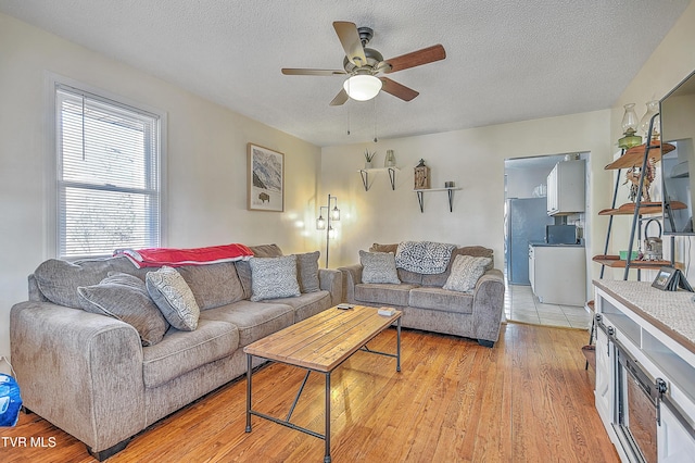 living room featuring ceiling fan, light hardwood / wood-style floors, and a textured ceiling