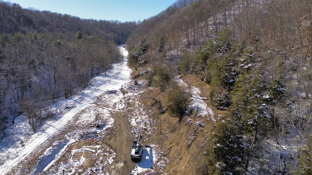 235 Bear Hollow Rd, Bristol, TN 37620 - photo 22