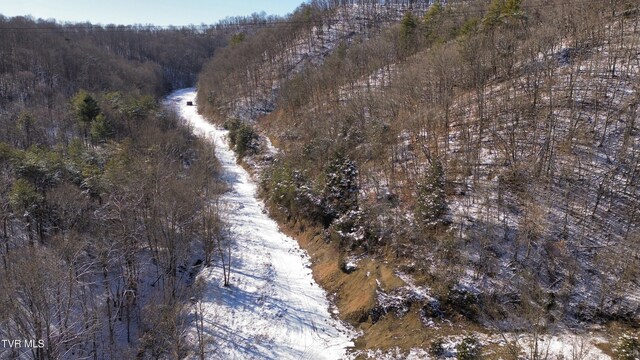 235 Bear Hollow Rd, Bristol, TN 37620 - photo 23
