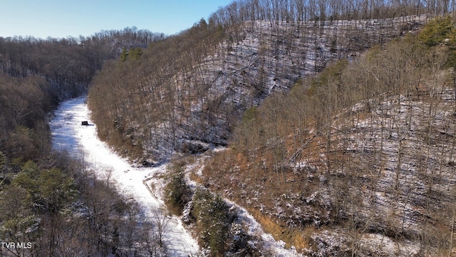 235 Bear Hollow Rd, Bristol, TN 37620 - photo 24