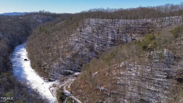 235 Bear Hollow Rd, Bristol, TN 37620 - photo 25