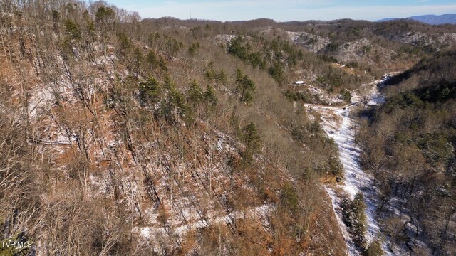 235 Bear Hollow Rd, Bristol, TN 37620 - photo 26