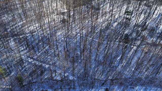 235 Bear Hollow Rd, Bristol, TN 37620 - photo 29