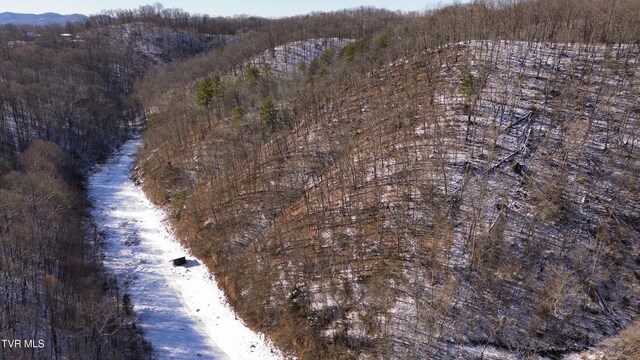 235 Bear Hollow Rd, Bristol, TN 37620 - photo 30