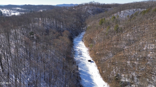 235 Bear Hollow Rd, Bristol, TN 37620 - photo 31