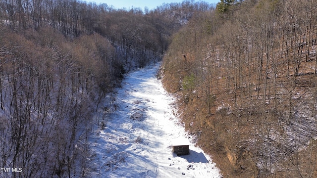 235 Bear Hollow Rd, Bristol, TN 37620 - photo 32