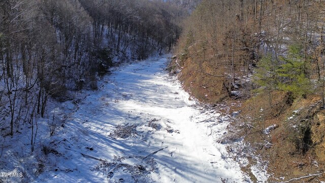 235 Bear Hollow Rd, Bristol, TN 37620 - photo 33