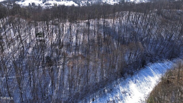 235 Bear Hollow Rd, Bristol, TN 37620 - photo 34