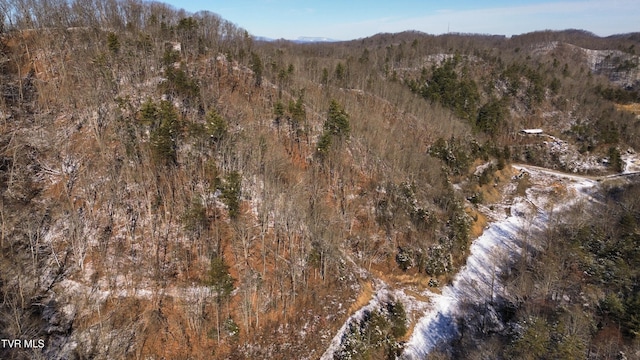 235 Bear Hollow Rd, Bristol, TN 37620 - photo 35