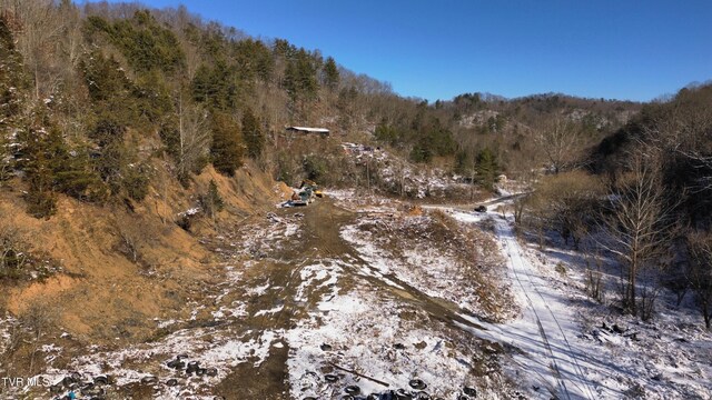 235 Bear Hollow Rd, Bristol, TN 37620 - photo 36