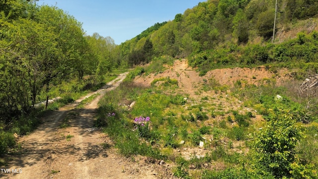 235 Bear Hollow Rd, Bristol, TN 37620 - photo 12