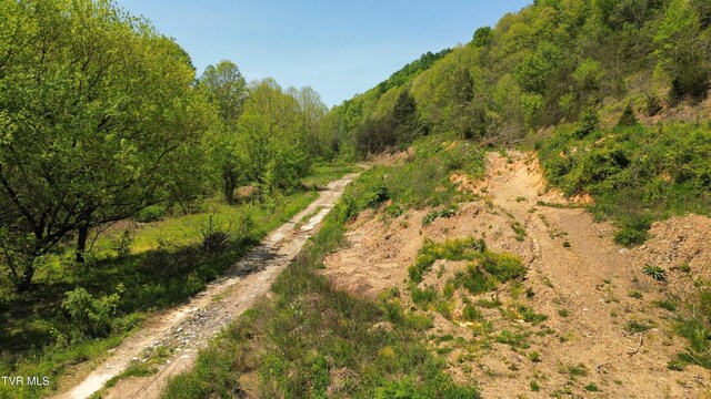 235 Bear Hollow Rd, Bristol, TN 37620 - photo 11