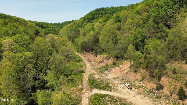 235 Bear Hollow Rd, Bristol, TN 37620 - photo 6